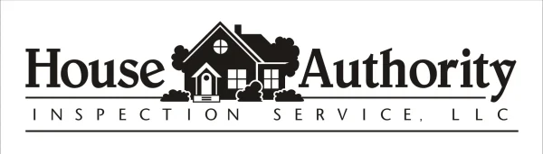 HAINSPECTIONS.com Home Inspection Mold Testing